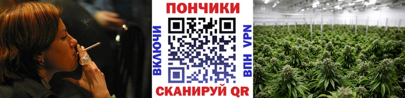 Купить закладку ГАШИШ  Альфа ПВП  Мефедрон  Кокаин  Кореновск
