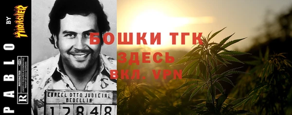мдпв Дмитров