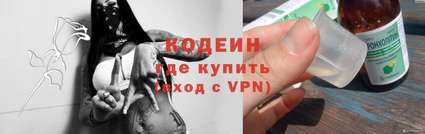 ПСИЛОЦИБИНОВЫЕ ГРИБЫ Дмитриев