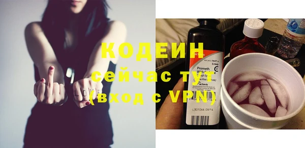 ПСИЛОЦИБИНОВЫЕ ГРИБЫ Дмитриев