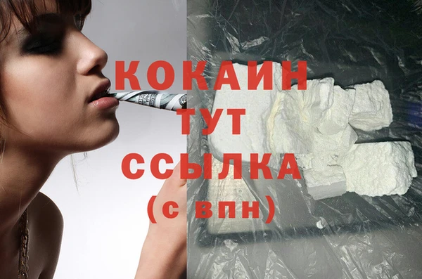 мдпв Дмитров