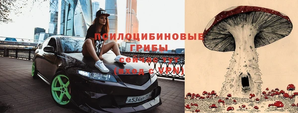 мдпв Дмитров