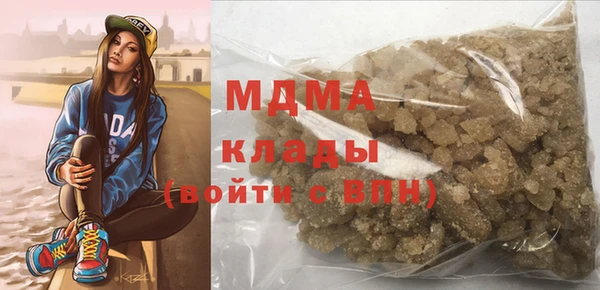ПСИЛОЦИБИНОВЫЕ ГРИБЫ Дмитриев