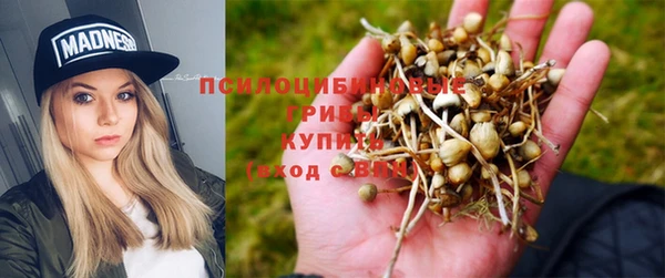 мдпв Дмитров